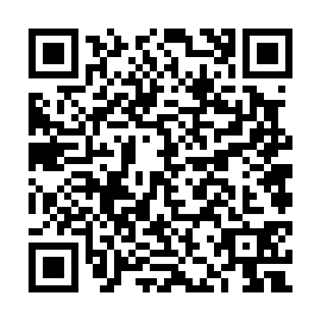 QR code for FJV-0307