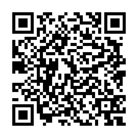QR code for FJX4333
