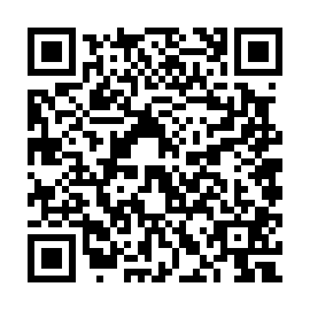 QR code for FLV0017
