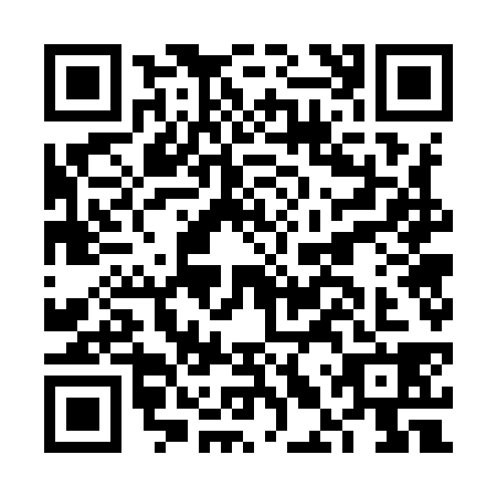 QR code for plate FLW-9381