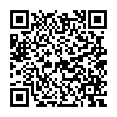 QR code for FNS-0451