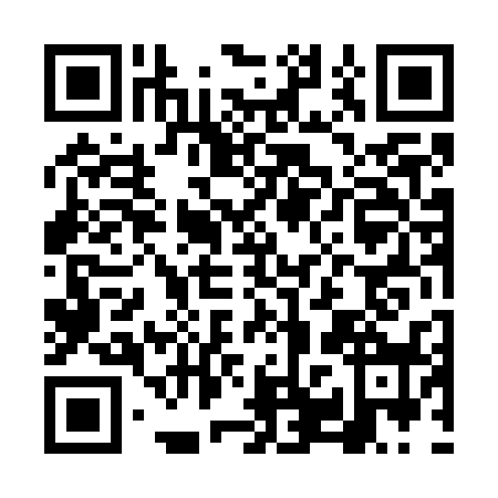 QR code for FPT7381