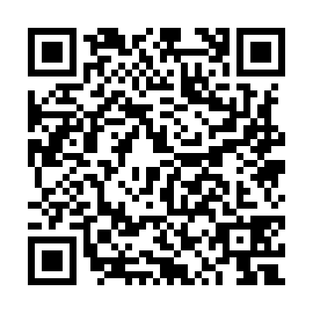 QR code for plate FQQ-9385