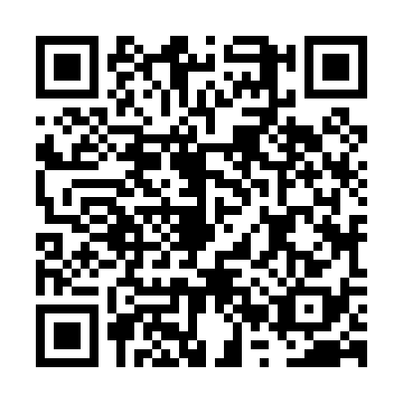 QR code for plate FRZ-0384