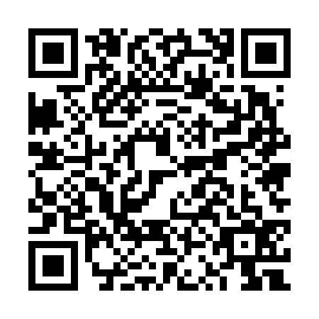 QR code for plate FSE-6367