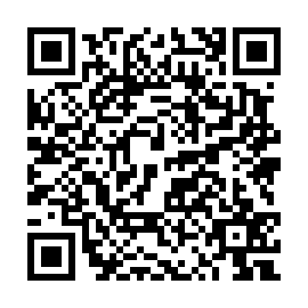 QR code for plate FSM-4375
