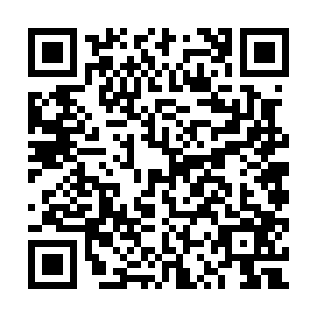 QR code for plate FSV-0065