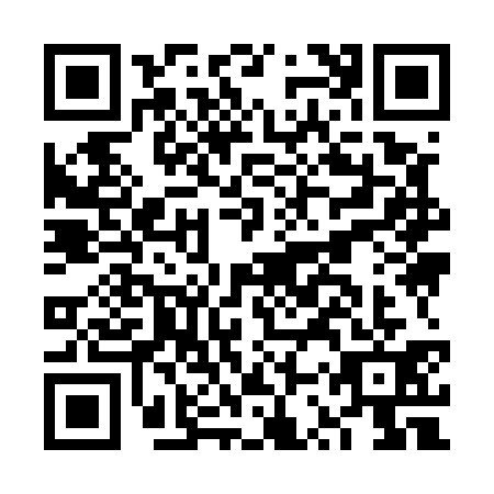 QR code for plate FSY-5313