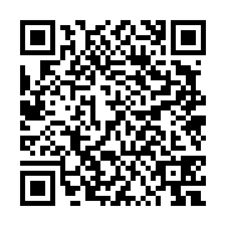 QR code for FVO-4383