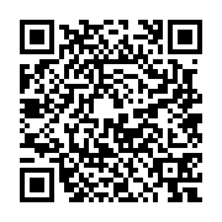 QR code for FZB0705