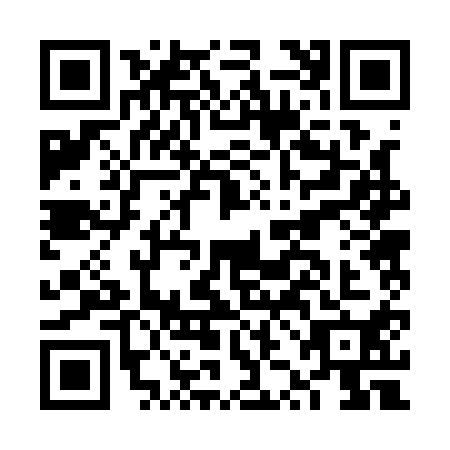 QR code for plate FZB-1101