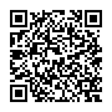 QR code for FZK-7163