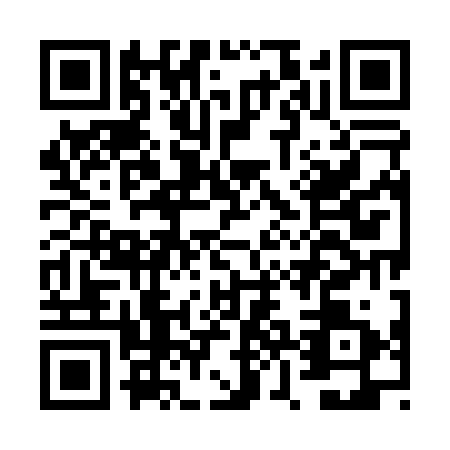 QR code for plate FZM-0315