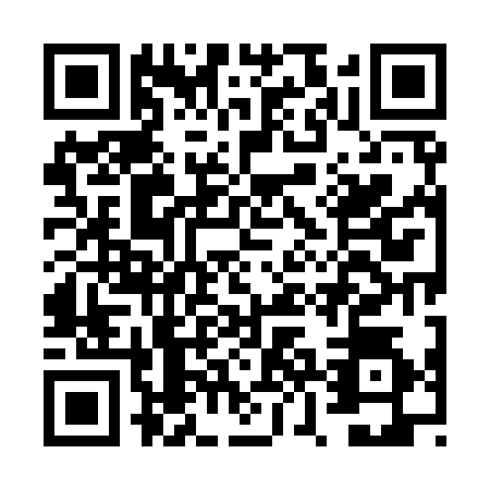 QR code for FZM9341