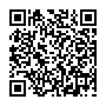 QR code for FZN0484