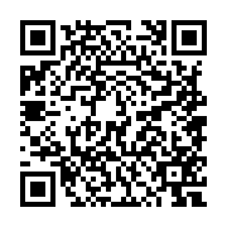 QR code for FZN9579