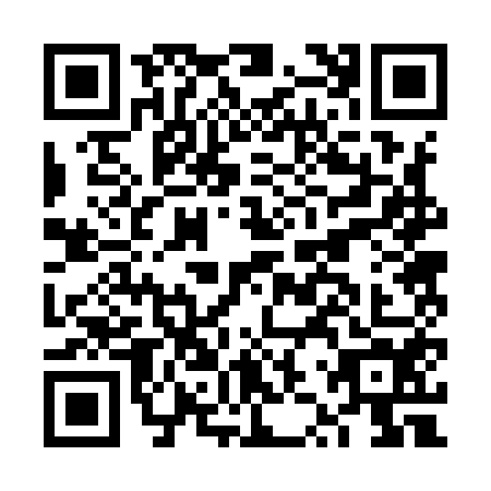 QR code for FZR-9541