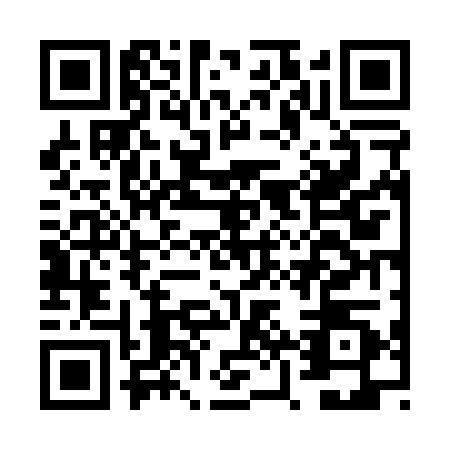 QR code for FZV0206