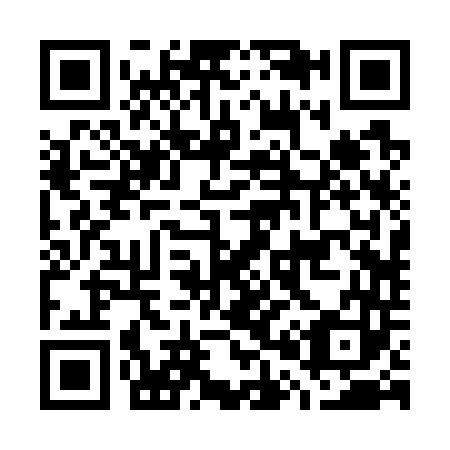QR code for G02743