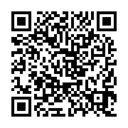 QR code for G02913