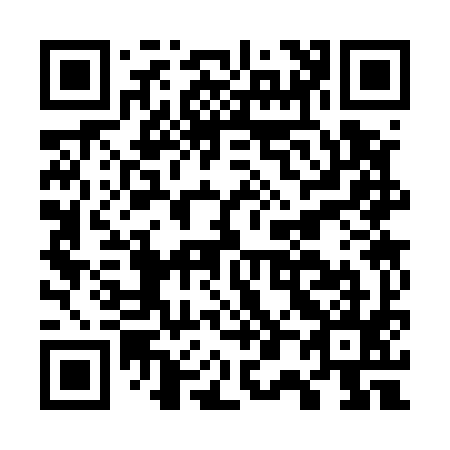 QR code for G03595