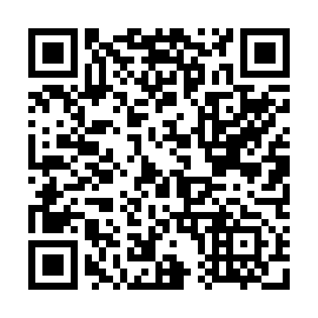QR code for G04253