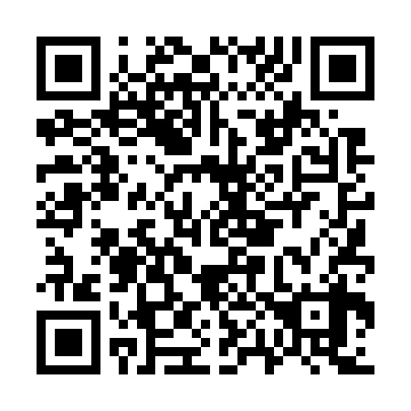 QR code for G04738
