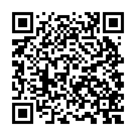 QR code for G06209
