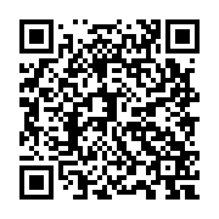 QR code for G08163