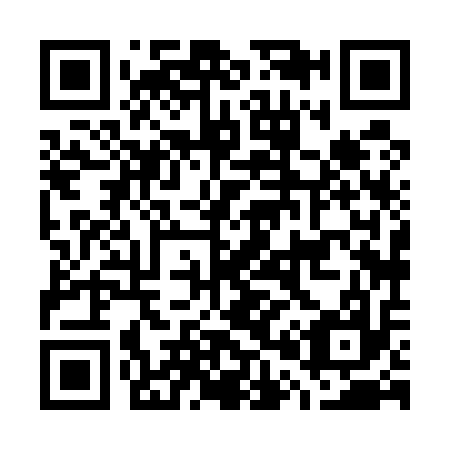 QR code for G08517