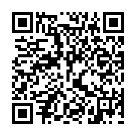 QR code for G09295