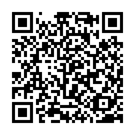 QR code for G11228