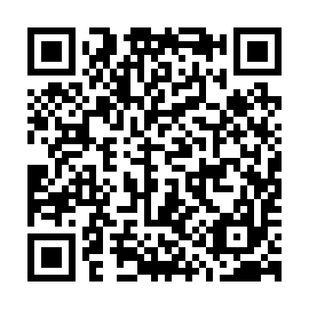 QR code for G11297