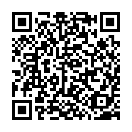 QR code for G11398