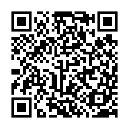 QR code for G11641