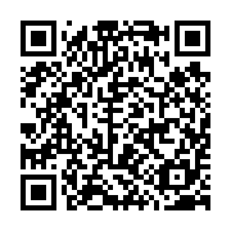 QR code for G11695