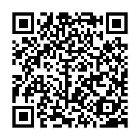 QR code for G12228