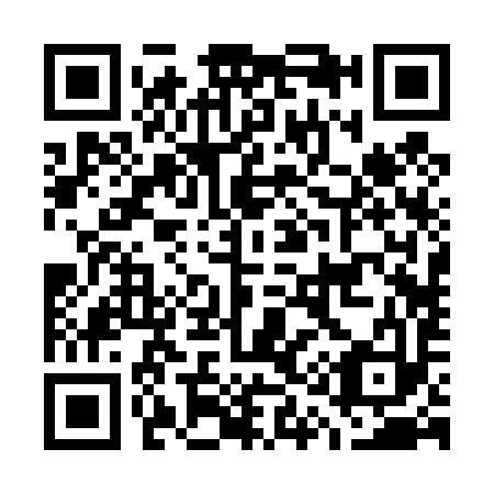 QR code for G12493