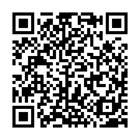 QR code for G12911