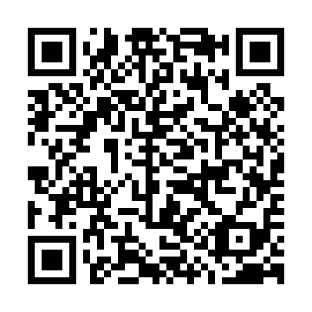 QR code for G13019