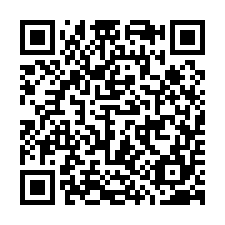 QR code for G13154