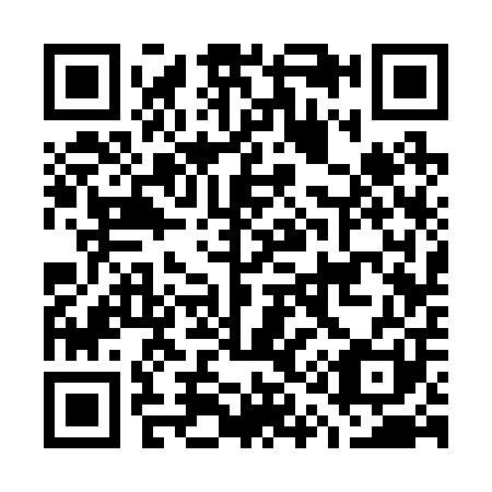 QR code for G13201