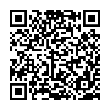 QR code for G13216
