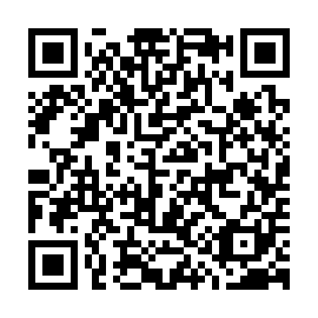 QR code for G13301