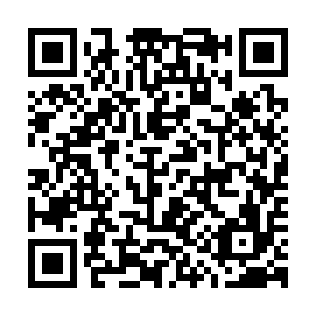 QR code for G13316
