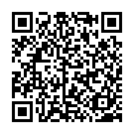 QR code for G13323