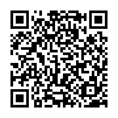 QR code for G13332