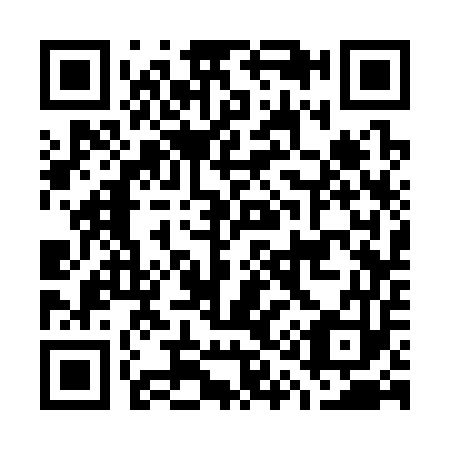 QR code for G13353