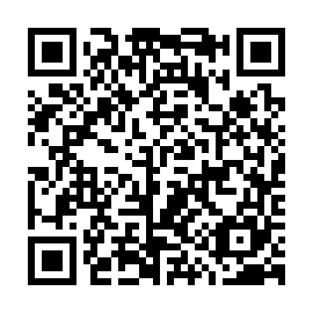 QR code for G13365