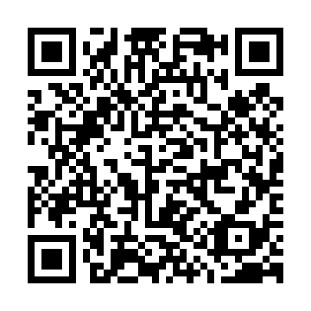 QR code for G13438